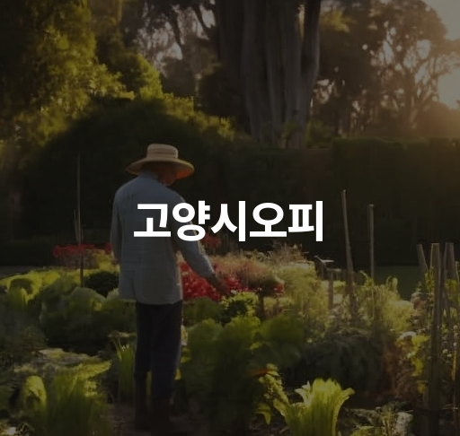 고양시오피  고양시 안양구에서 섹파알바 구하는 방법 안양S급오피